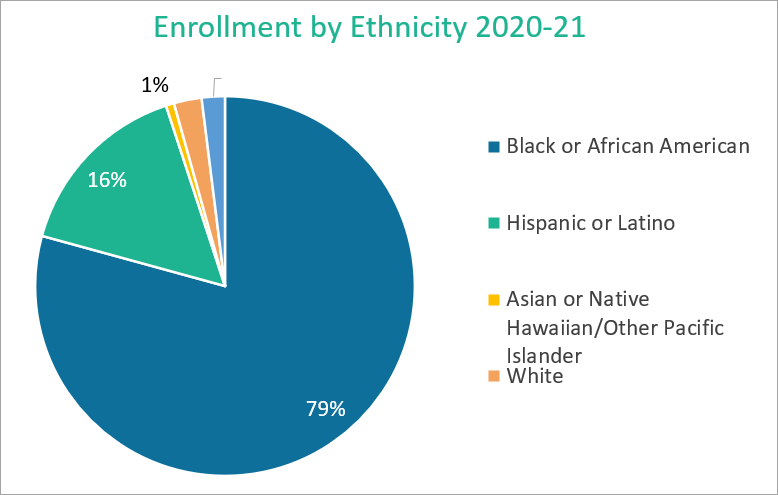 enrollment by ethnicity