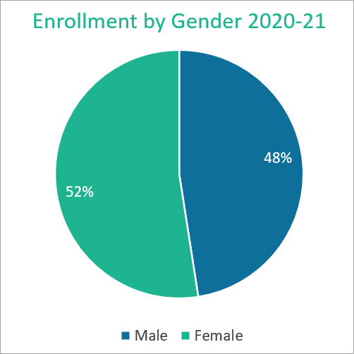 enrollment by gender